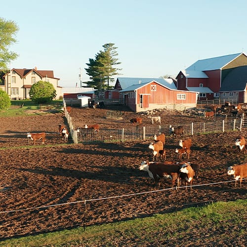 agriculture industry